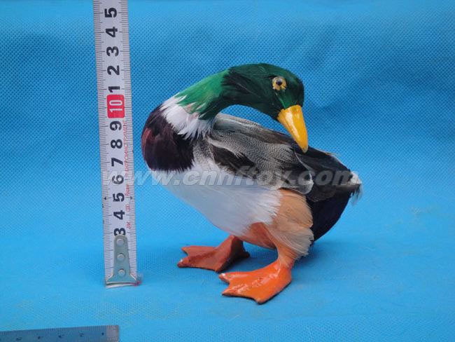 皮毛玩(wán)具鳥：NI003義烏楚傑工藝品有限公司