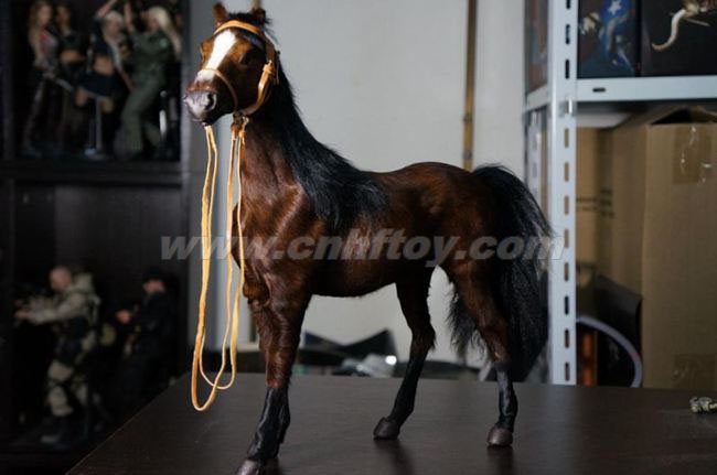 私人(rén)訂制(zhì)：ZCPY1700-8義烏楚傑工藝品有限公司