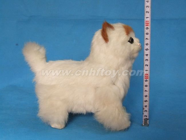 皮毛玩(wán)具貓：M875義烏楚傑工藝品有限公司