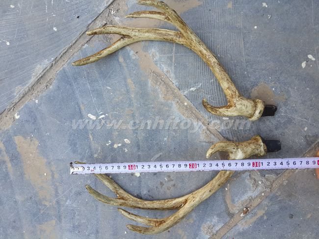 其它工(gōng)藝品：Q029義烏楚傑工藝品有限公司